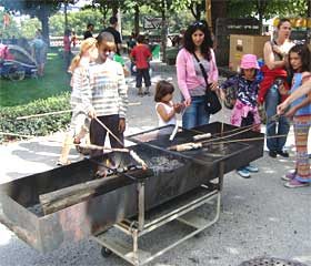holzgrill.jpg